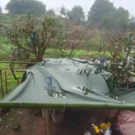 JX PVC Coated Tarpaulin/Cover for Farm Waterproof Warp Knitted Tent Pig Broiler Sheep Chicken Farm Plain Style