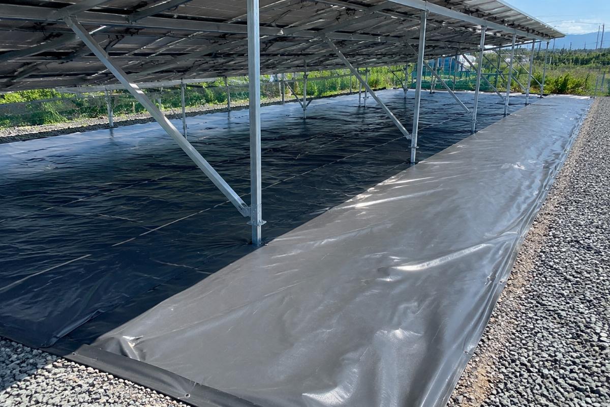 PVC tarpaulin laid under solar panel ground mounting structure